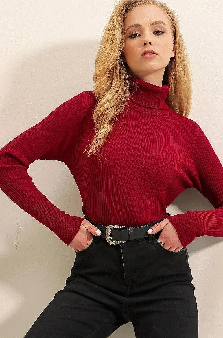 Knitted Turtleneck Long Sleeves Sweater Jumper for Women